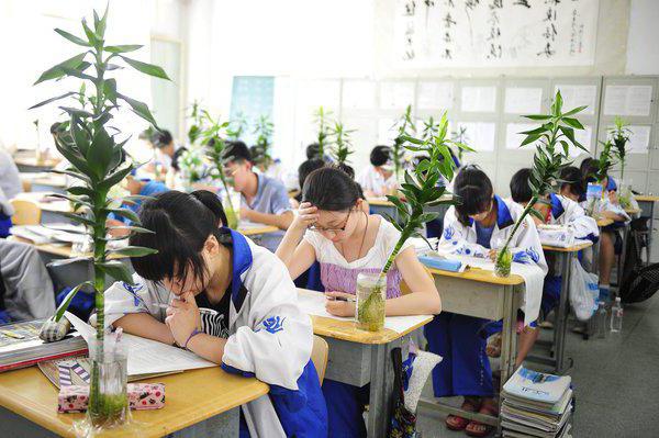 sistema di istruzione prescolare in Cina