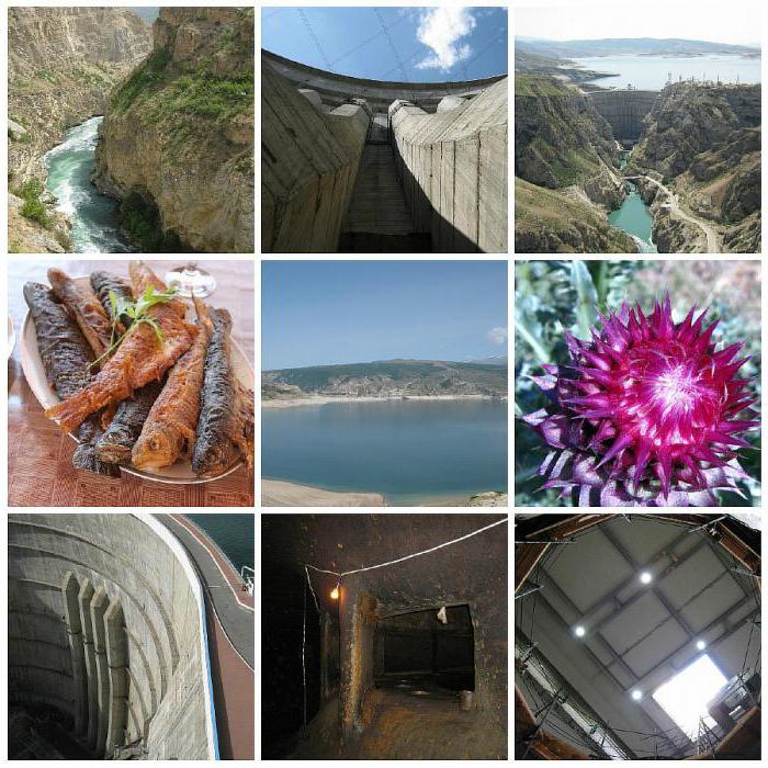 Hidroelektrarna Chirkei