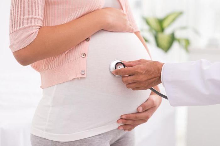 chlorofylliptu během těhotenství pro kleště