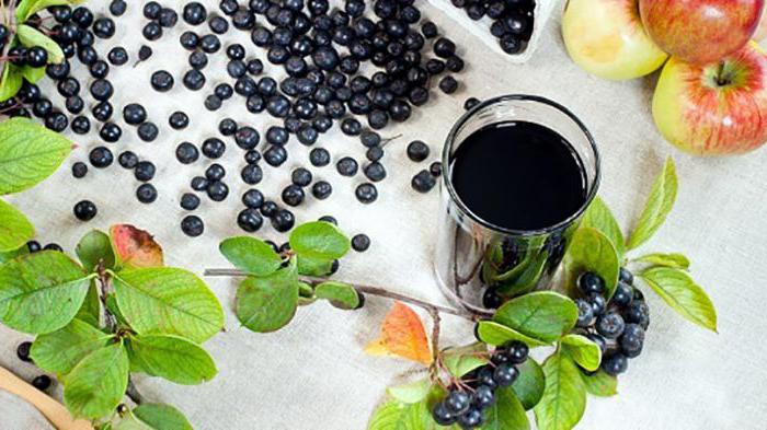црно воће ароније једноставан рецепт