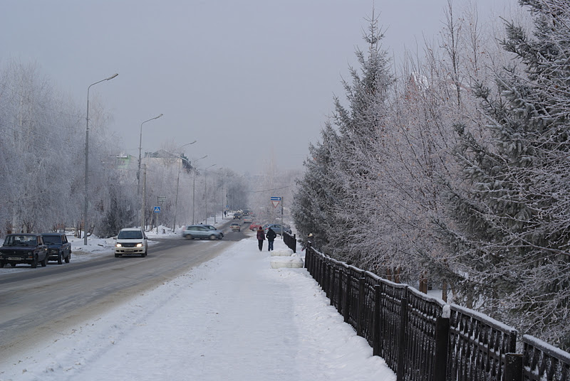 Климат в Бийск