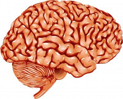 pulizia di vasi cerebrali con aglio