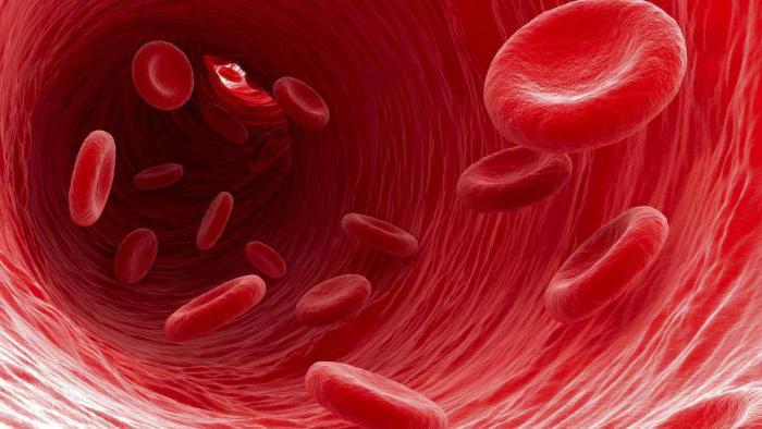 анализе крви за болести крви