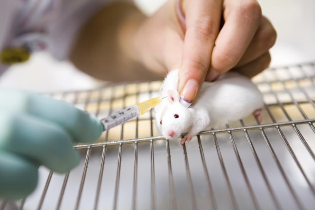 Diagnosi del botulismo con l'aiuto di topi sperimentali