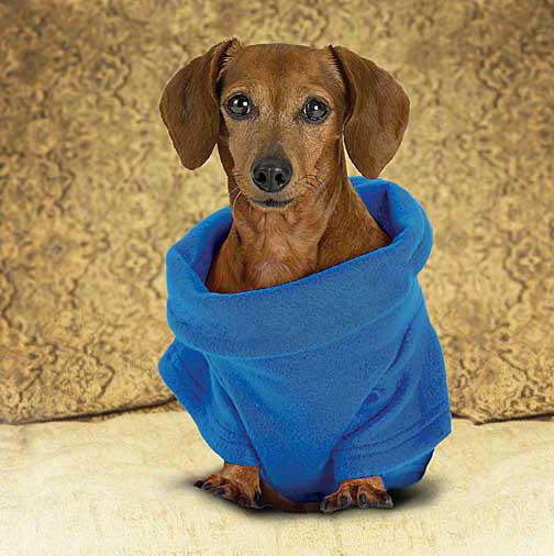 pokrivač za male pse