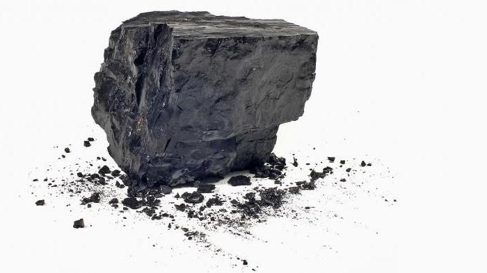 Въглища: образование в земните недра