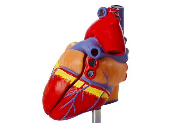 srdeční onemocnění koarktace aorty
