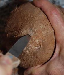 как да отворите кокосов орех