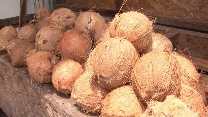 pokrowiec na materac wykonany z kokosa kokosowego