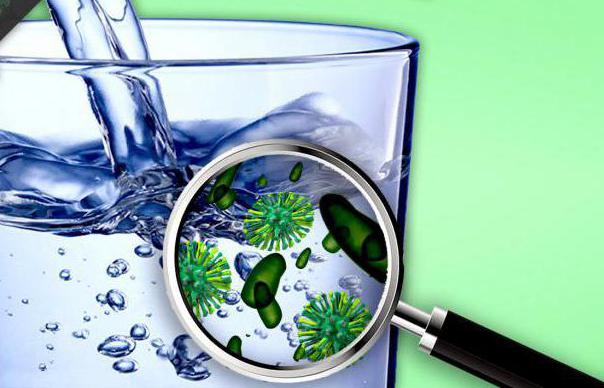koliformne bakterije v pitni vodi