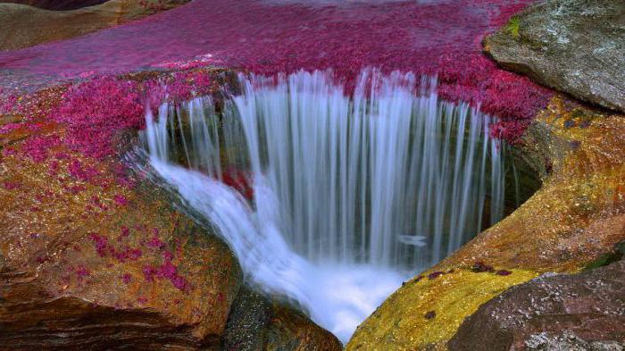 Un fiume di cinque colori in Colombia