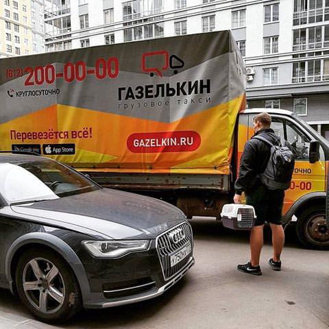 gazelkin recenzije osoblja vozača moskva