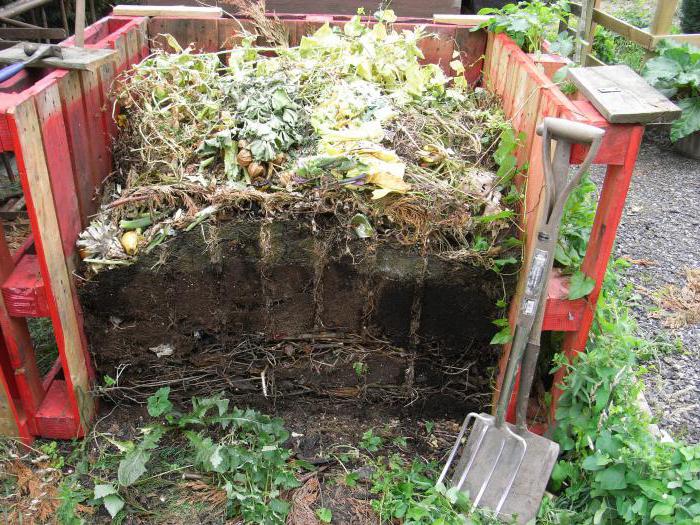 jak vyrobit hromadu kompostu se svými vlastními rukama