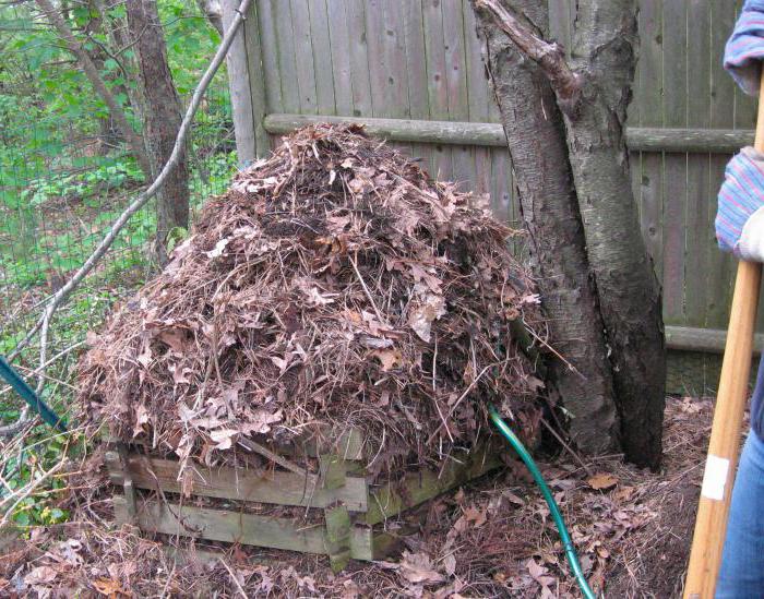 kompost hromada dělat sami vytváření možností