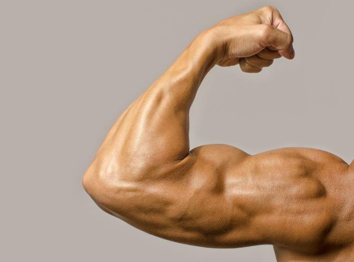 skoncentrowane wyciągi bicepsów