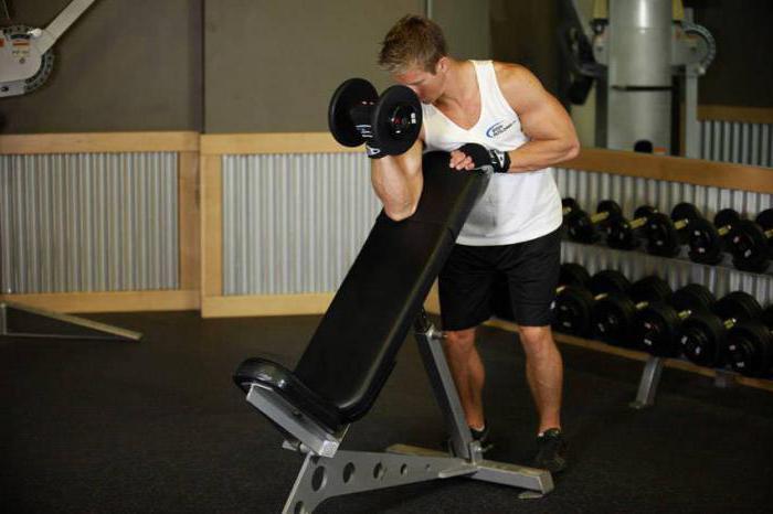 kako se koncentrirani biceps podiže