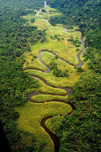 Izvir reke Kongo
