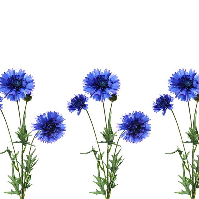Svojstva plavog cvijeta