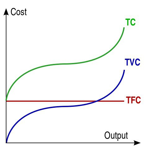 formula dei costi totali