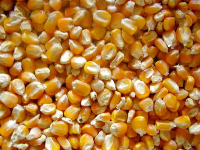 колко калории в млади царевица