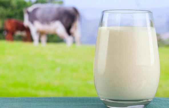 složení a vlastnosti kravského mléka