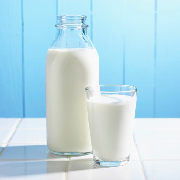 složení přírodního kravského mléka