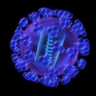 foto coksaki virus
