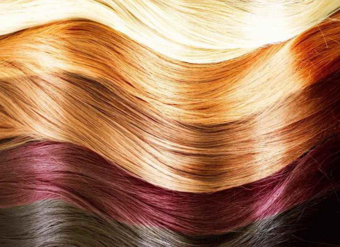 barve za lase barvne palete foto pregledi