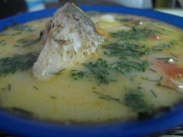 Рецепта на супа от каракуда