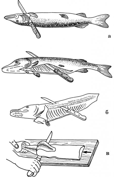 Schema di taglio del pesce