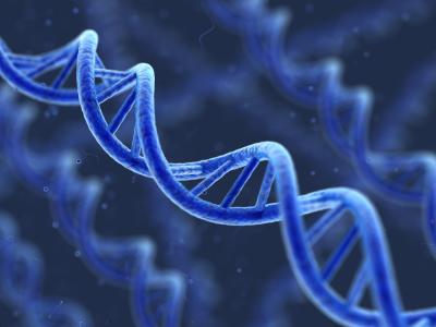 citogenetička metoda istraživanja ljudske genetike