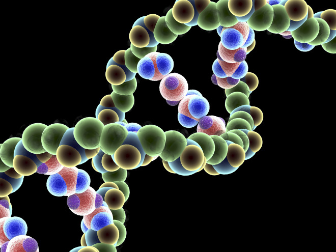 DNA lanac