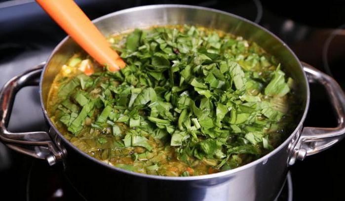 come cucinare la ricetta zuppa di acetosa