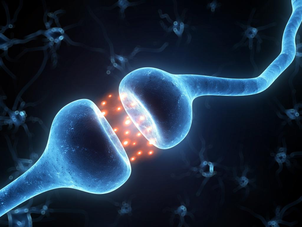 Modelová synapse obrázku