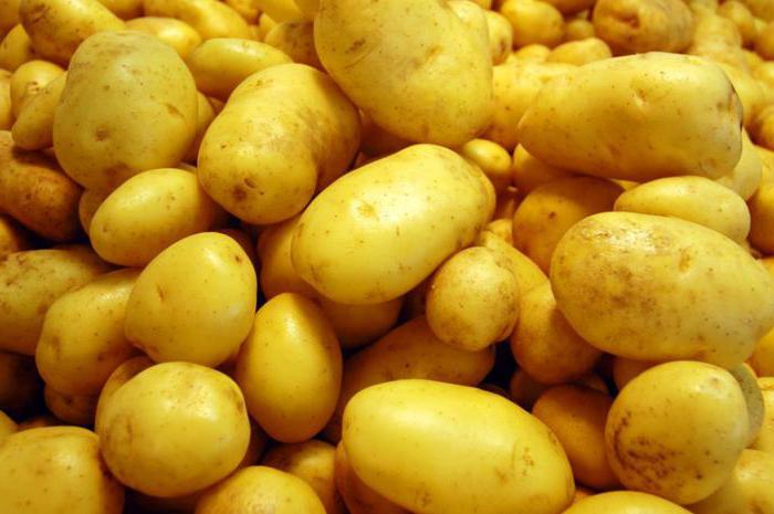 Jak sadnout brambory