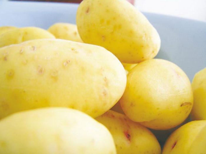 tecnologia di coltivazione delle patate