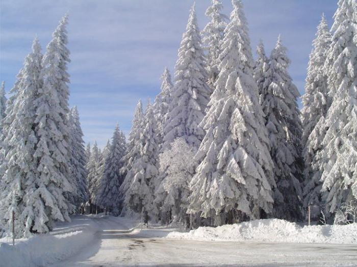 opis zimowego krajobrazu natury