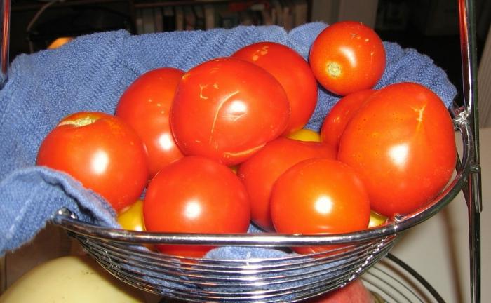 Lalka Pomidorowa