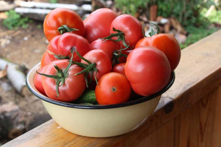 Детерминантни домати
