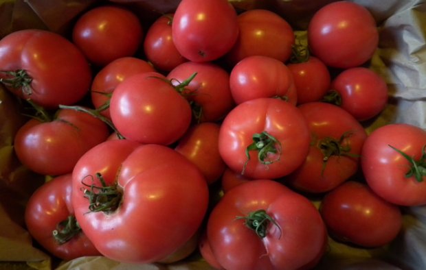 Determinant Tomatoes Doll Masza