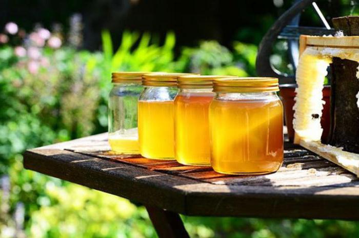 Ползи от мед от медена роса