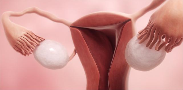 kakšno izločanje ovulacije