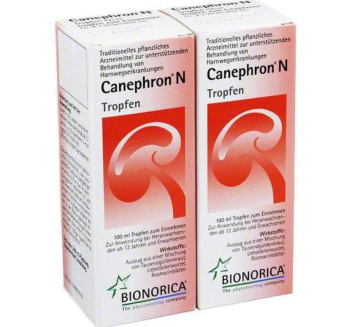 skład cannephron