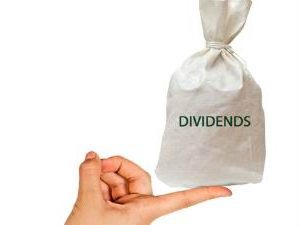 politika dividend