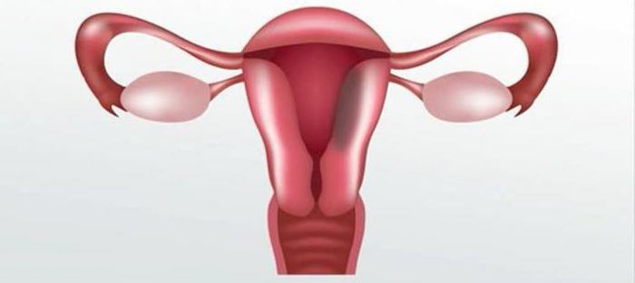 recensioni di crescita endometriale digigel
