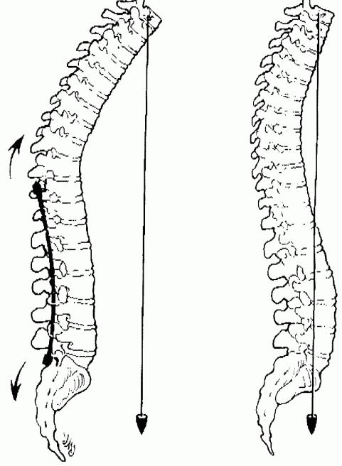 colonna vertebrale toracica umana