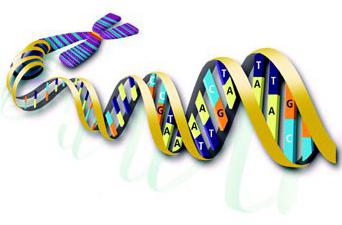struktura in biološka vloga DNA