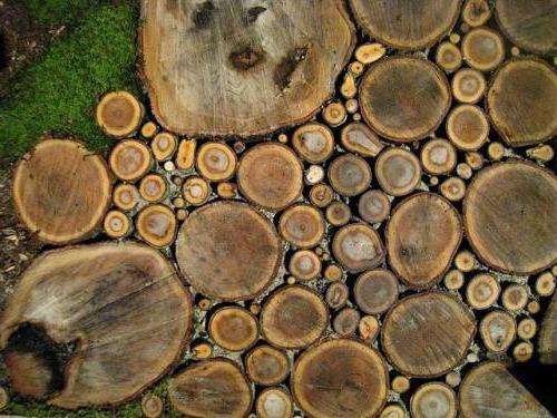 Пътеката от дървените срезове го прави сам: снимка