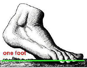 Lunghezza del piede in metri
