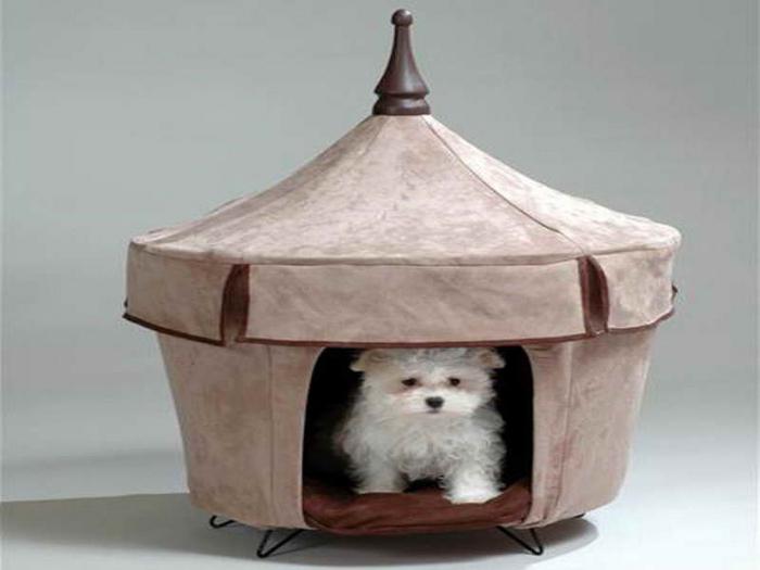 Malý psí dům